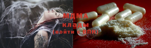 spice Богородск