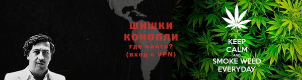таблы Богородицк