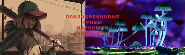 СК Бородино