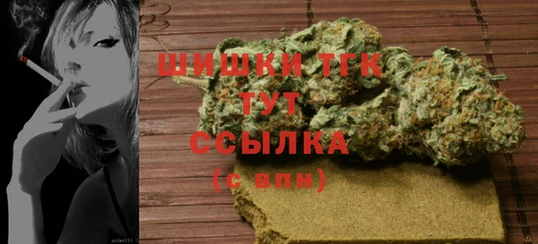 гашик Богданович