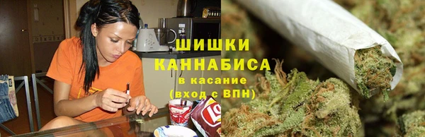 spice Богородск